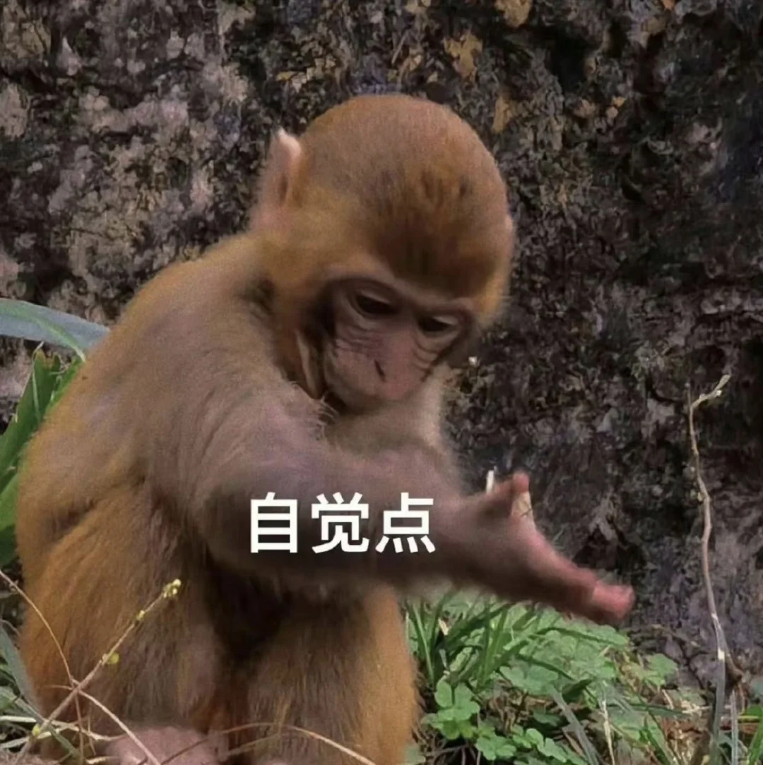 家人们 有没有很惊艳超好看的平板壁纸 求求