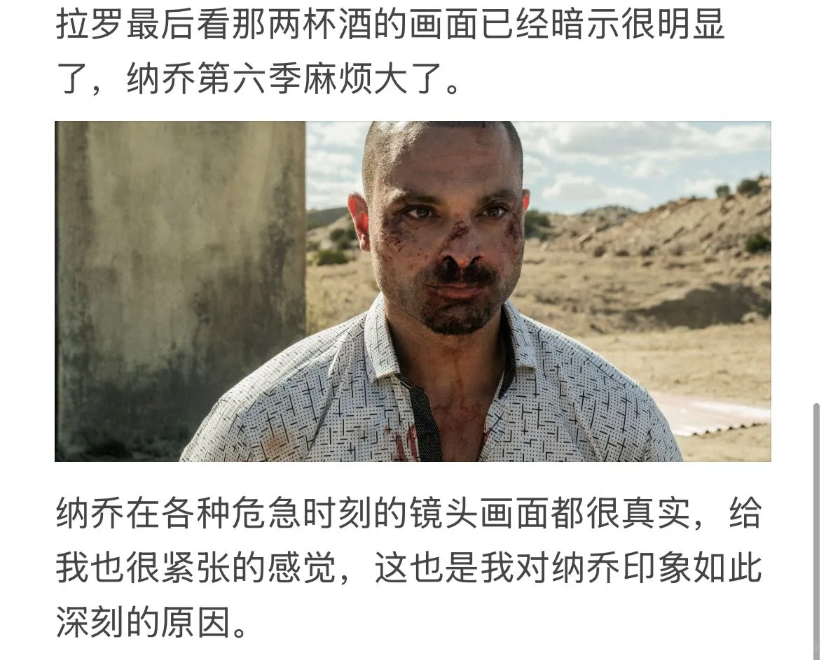 如何评价《风骚律师》里纳乔这个角色?