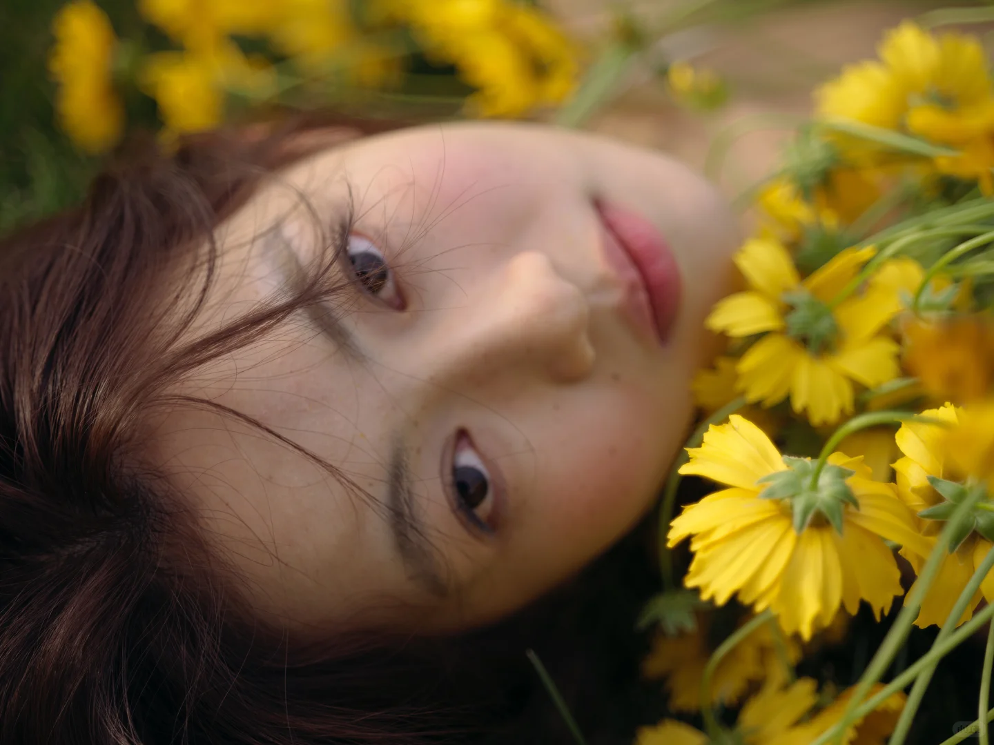这大概就是我向往的夏天吧🌼
