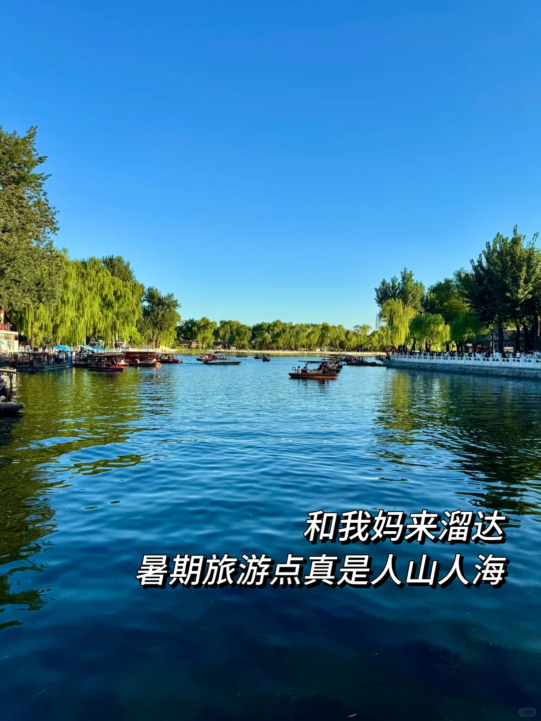 别妄想法拍房能捡漏，好房子真的没漏可捡