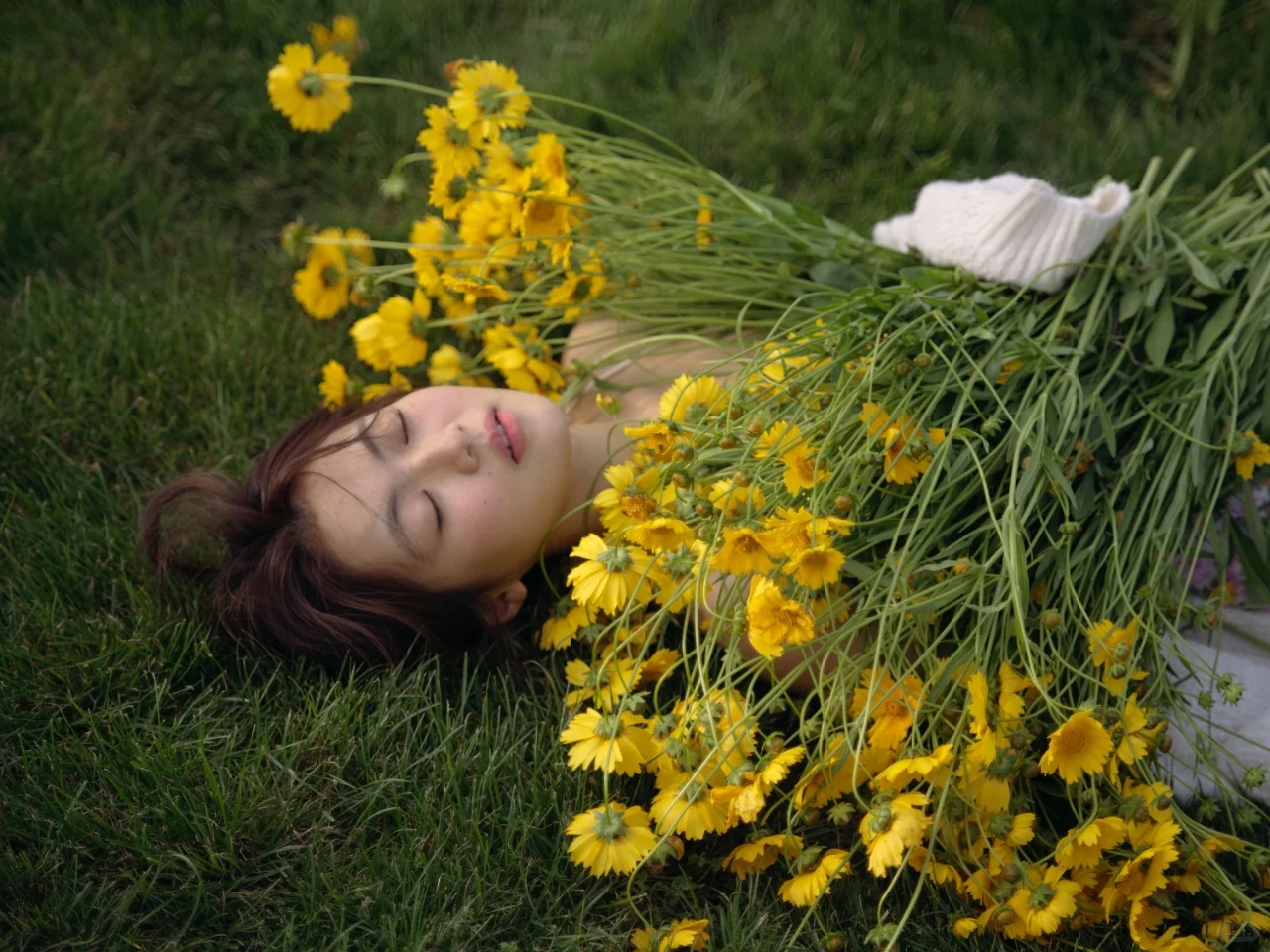 这大概就是我向往的夏天吧🌼