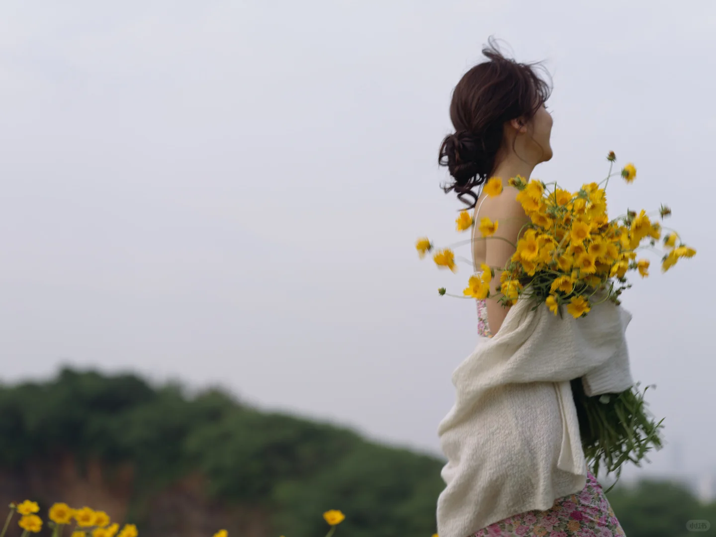 这大概就是我向往的夏天吧🌼
