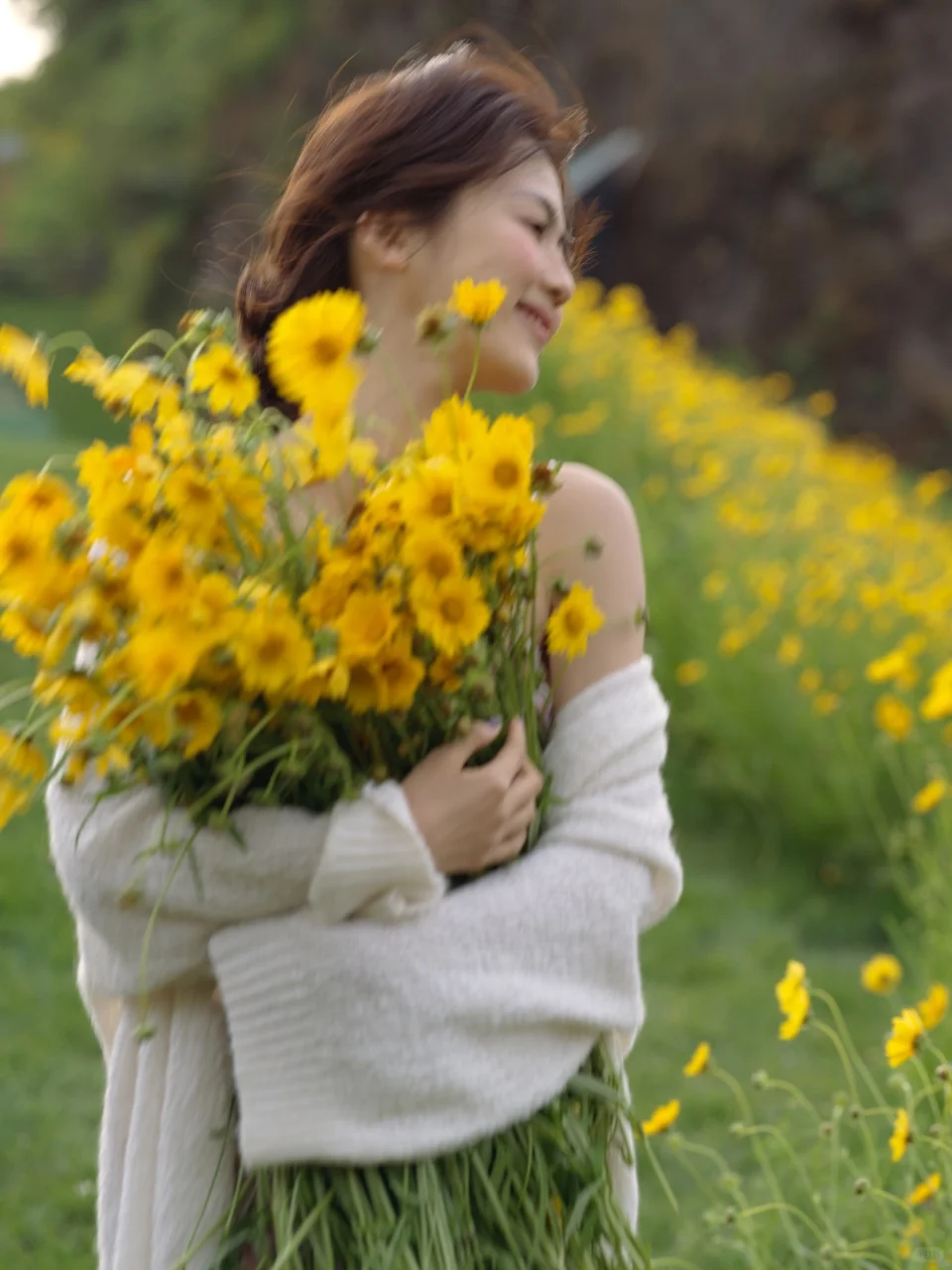 这大概就是我向往的夏天吧🌼