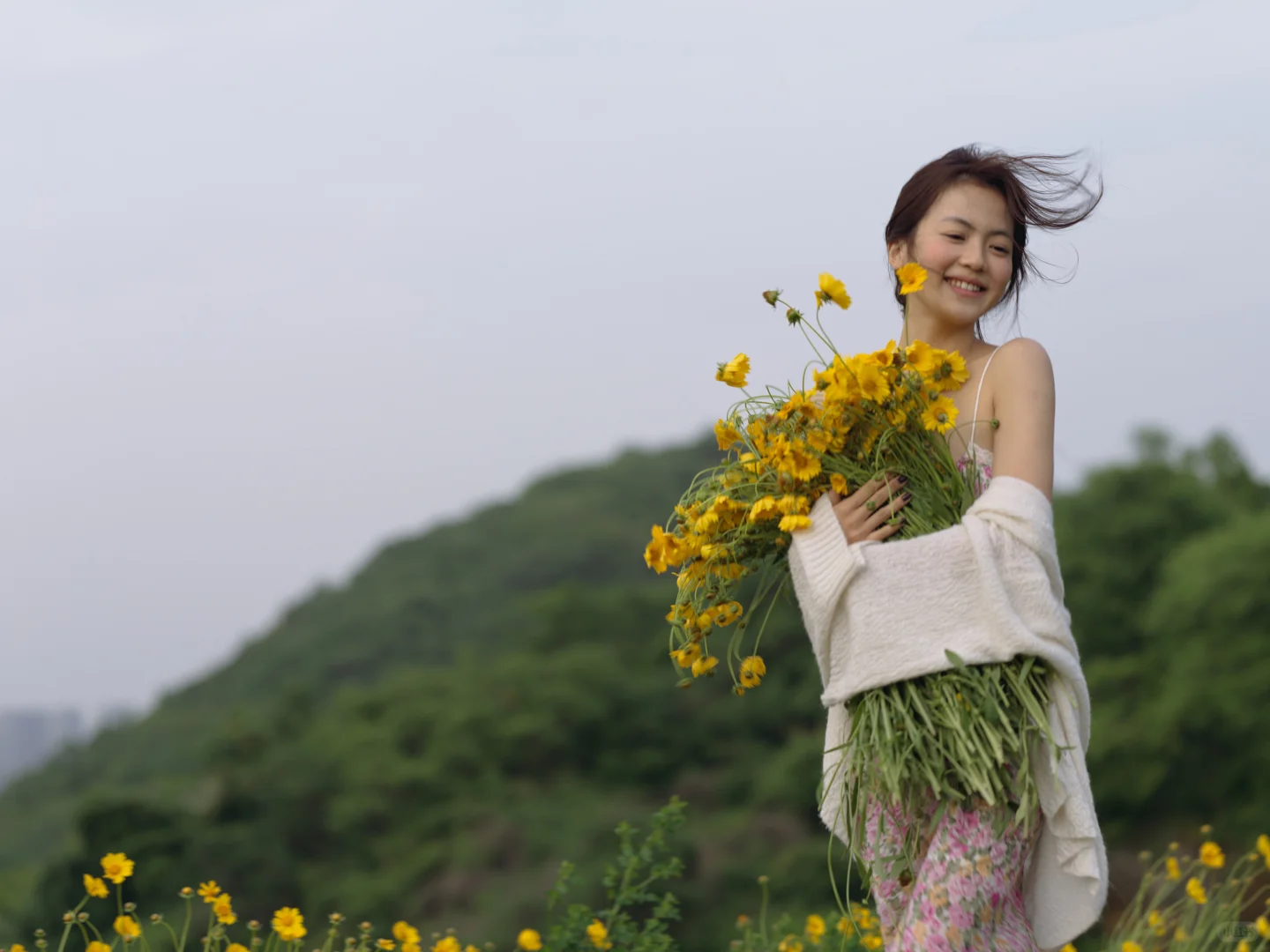 这大概就是我向往的夏天吧🌼