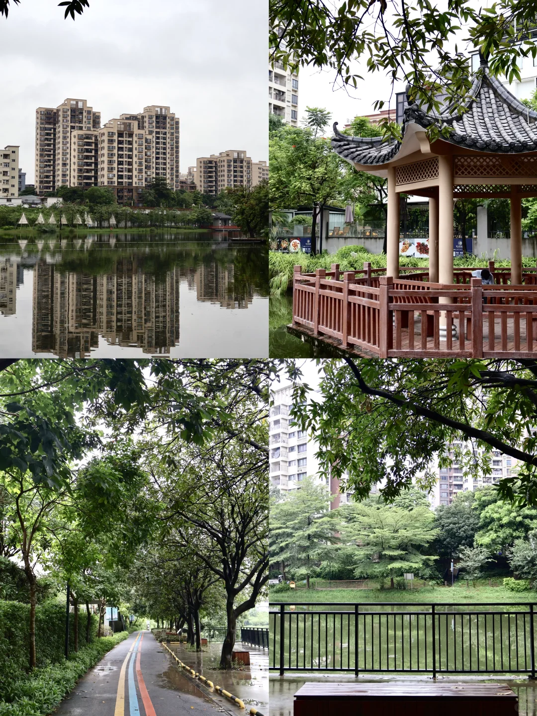 这样的湖居生活🏠太治愈了吧