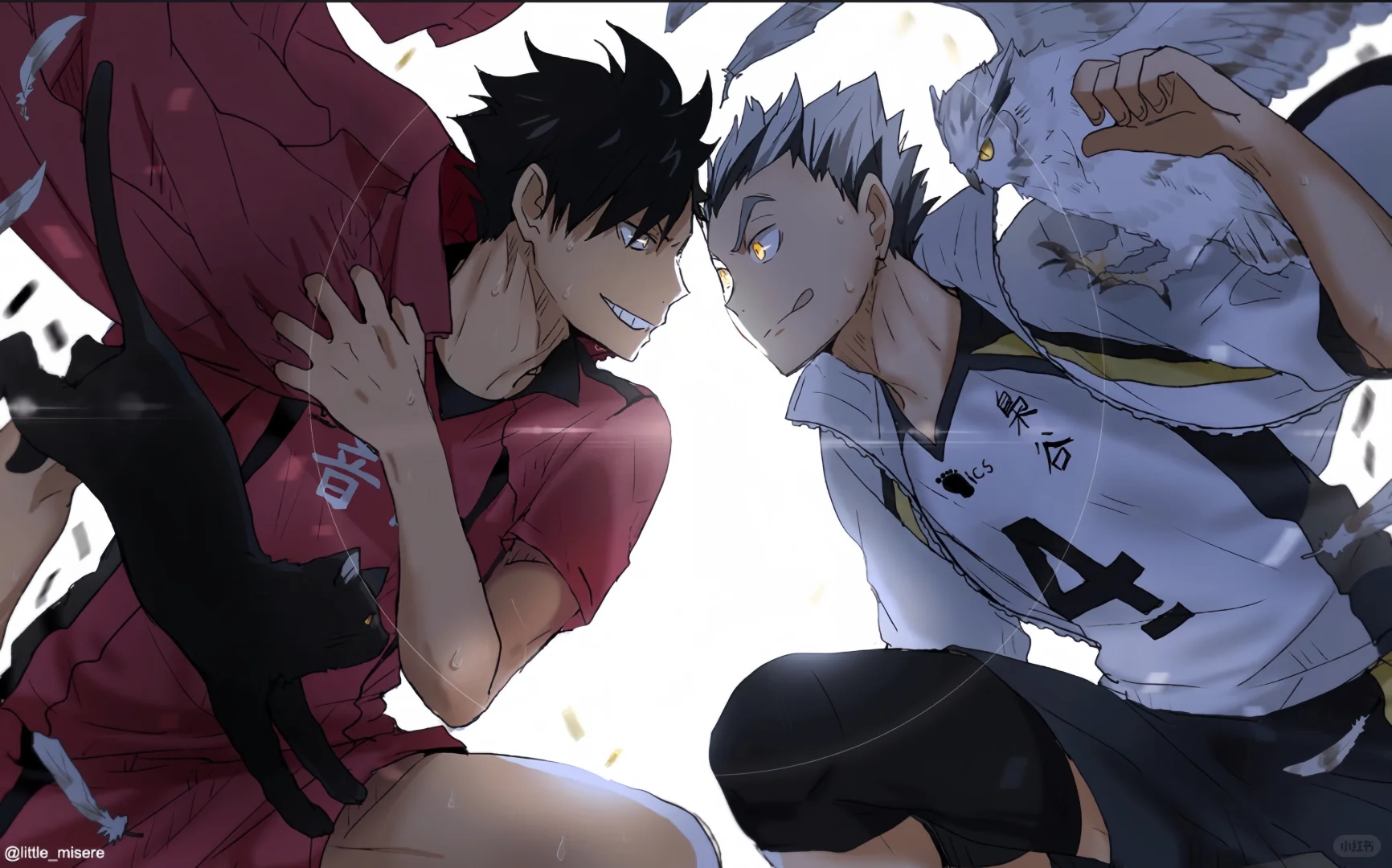 排球少年🏐（平板壁纸）