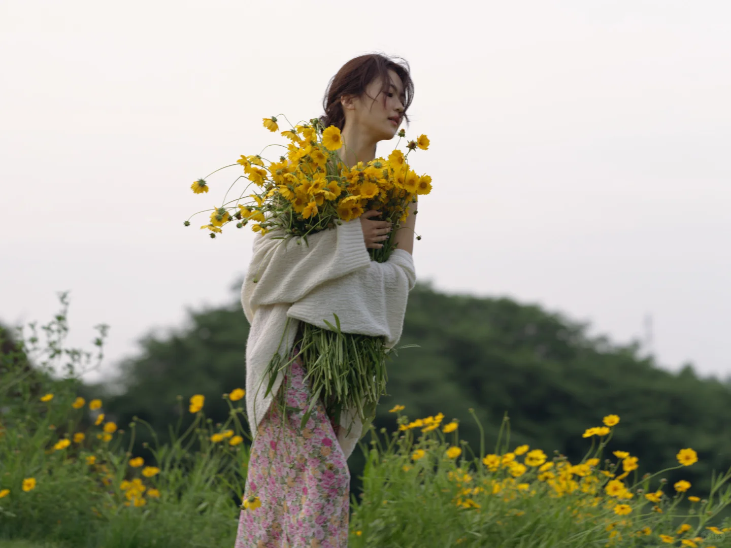 这大概就是我向往的夏天吧🌼