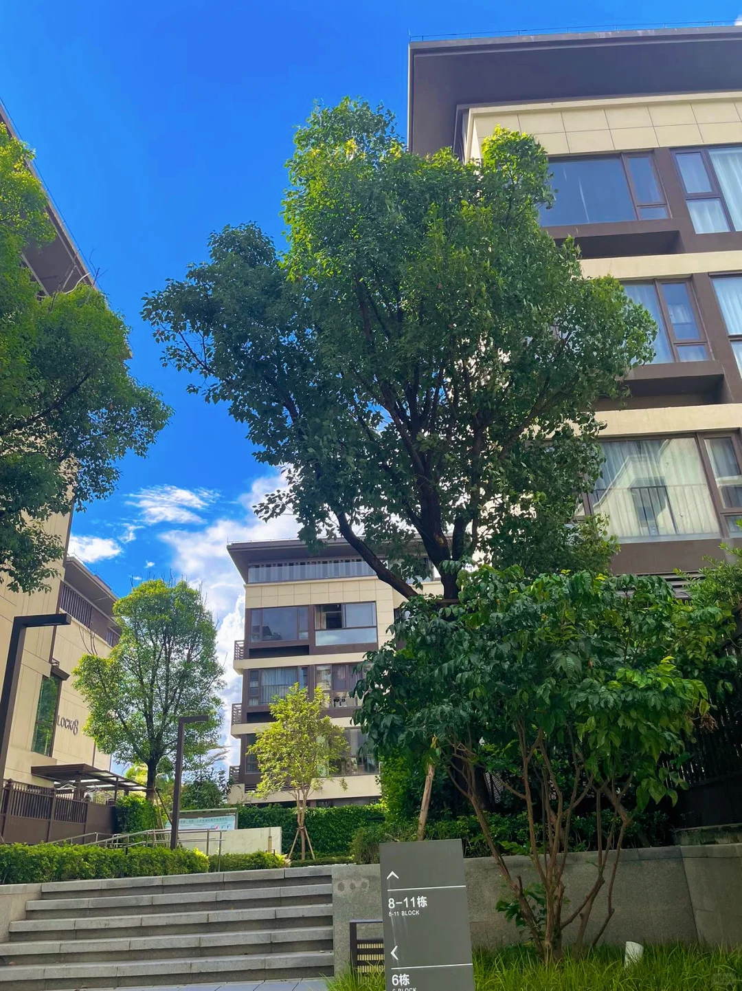 感谢广州🙏去年590万没买，今年280上车