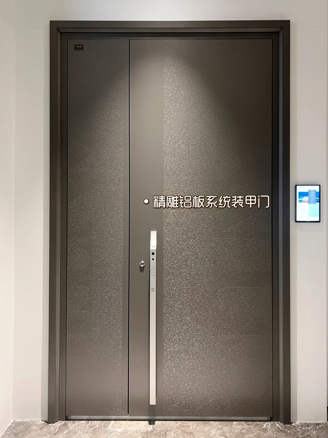安全🆚美观完美结合的入户门🚪