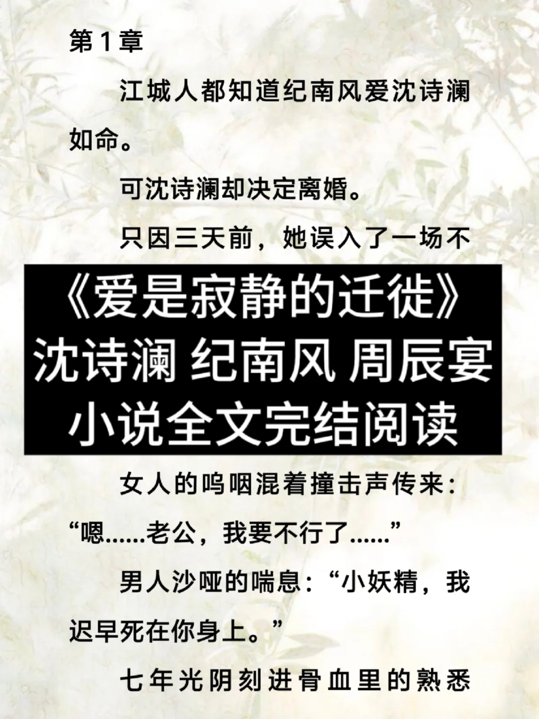 《爱是寂静的迁徙》沈诗澜纪南风周辰宴