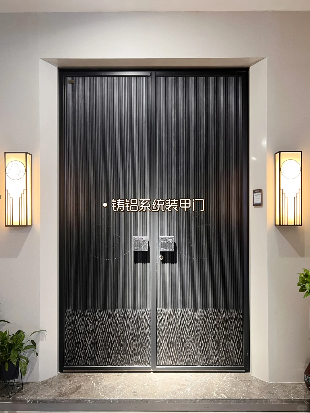安全🆚美观完美结合的入户门🚪