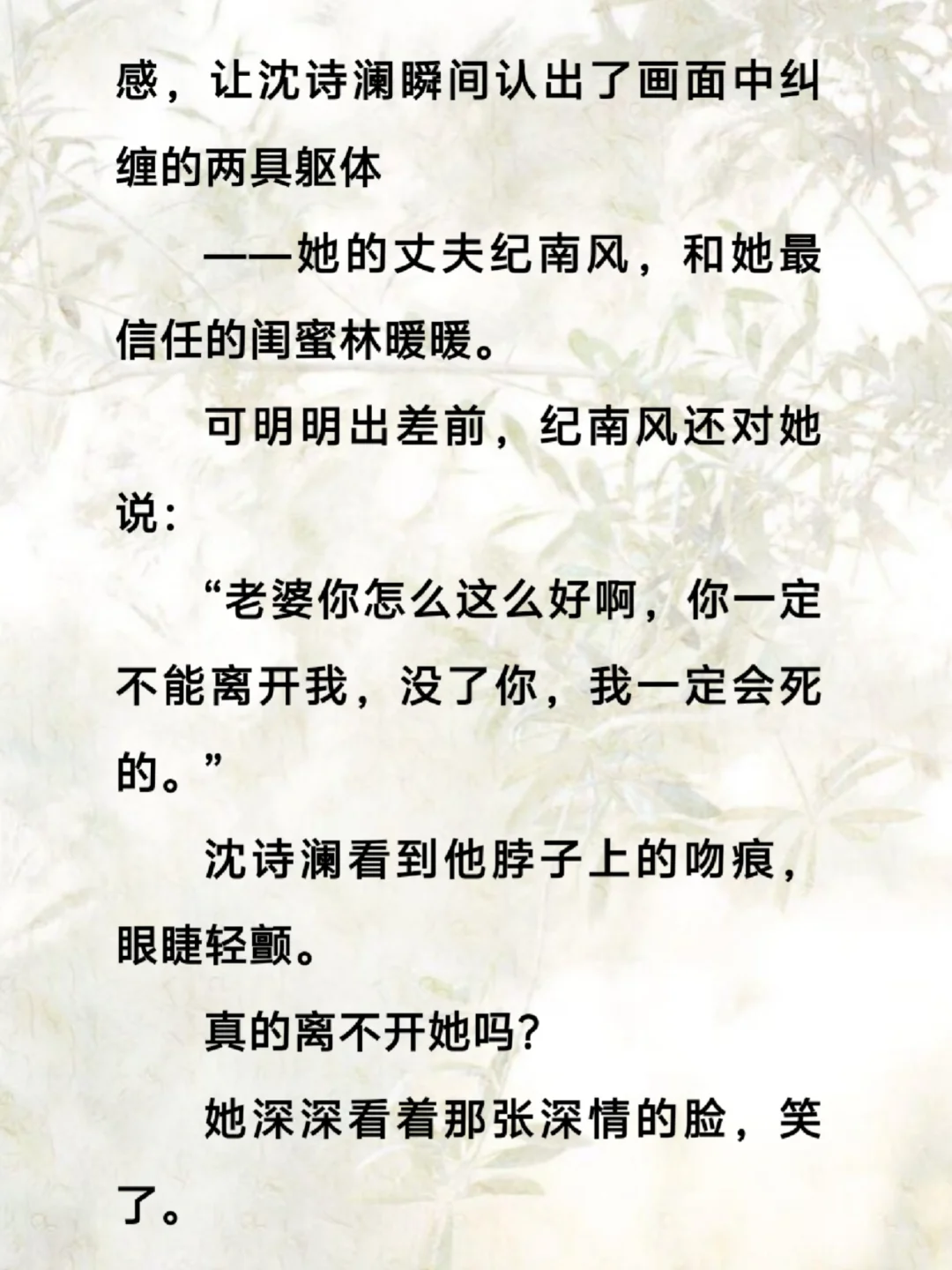 《爱是寂静的迁徙》沈诗澜纪南风周辰宴