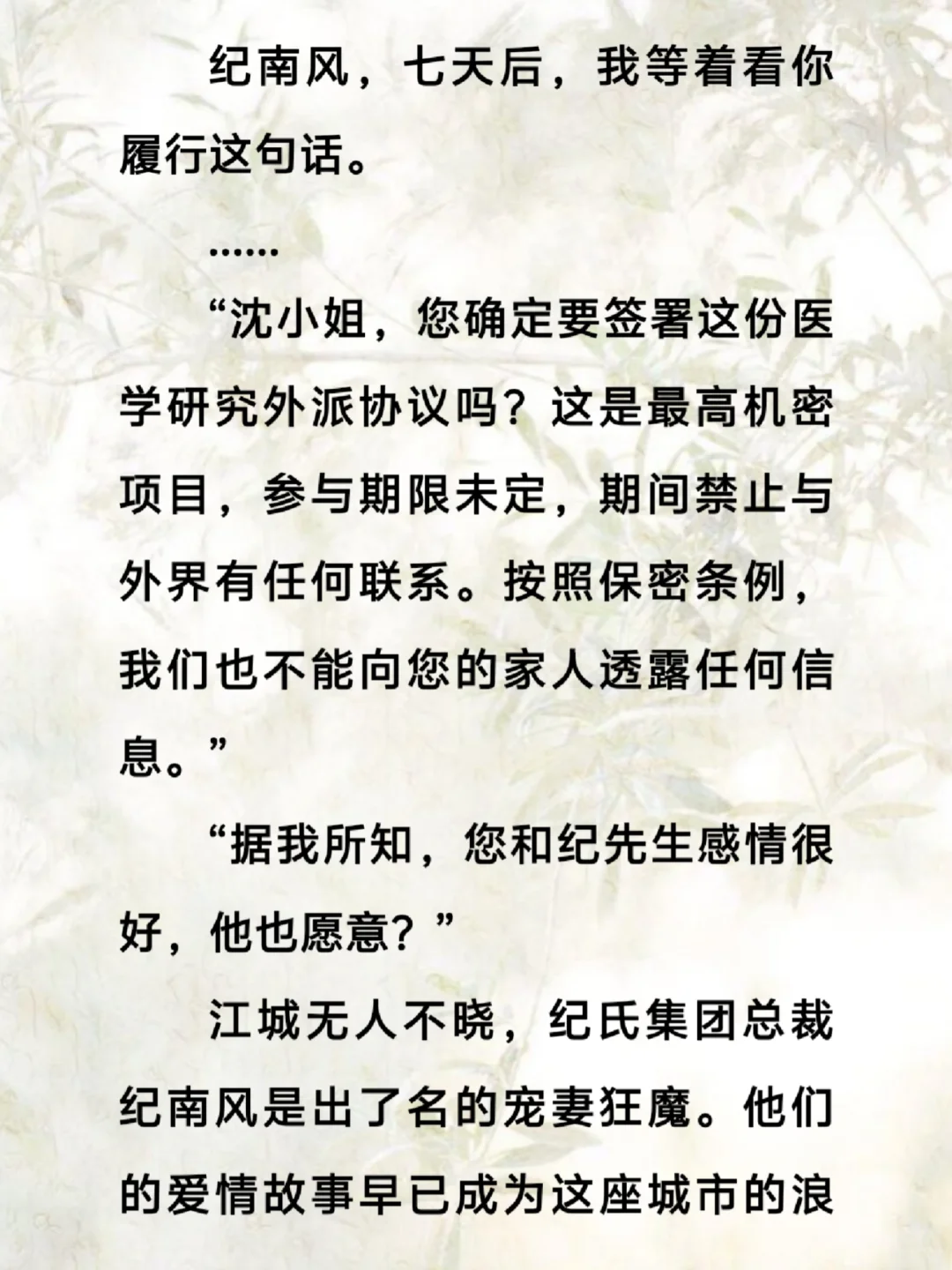 《爱是寂静的迁徙》沈诗澜纪南风周辰宴