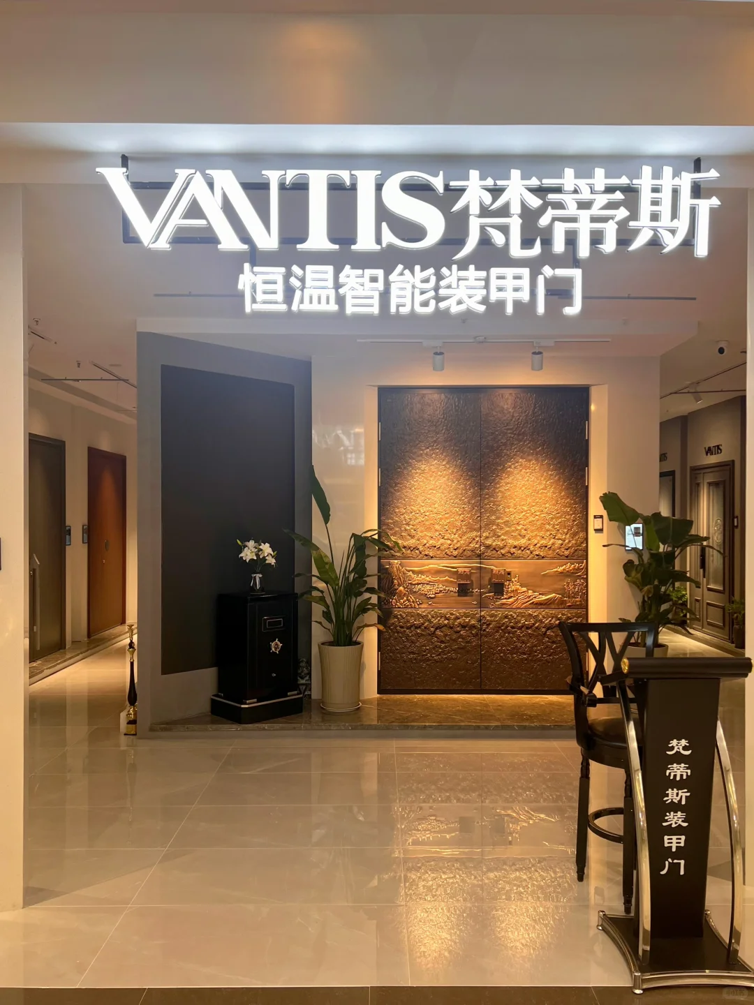 安全🆚美观完美结合的入户门🚪