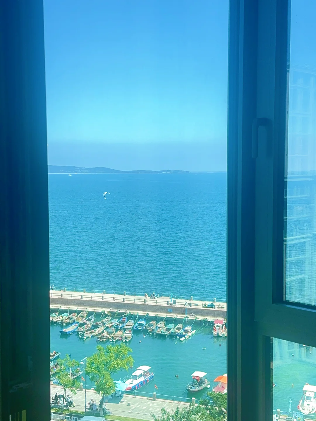 移居威海｜40岁终于拥有18岁梦想中的家🏡