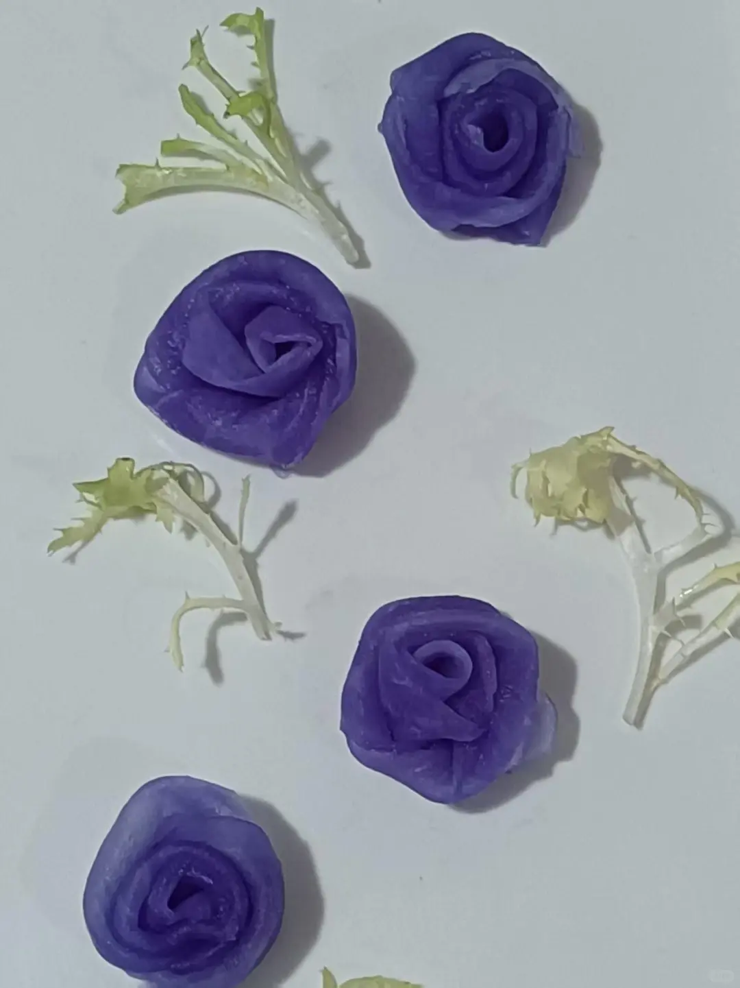 这是什么花花！紫色玫瑰花！