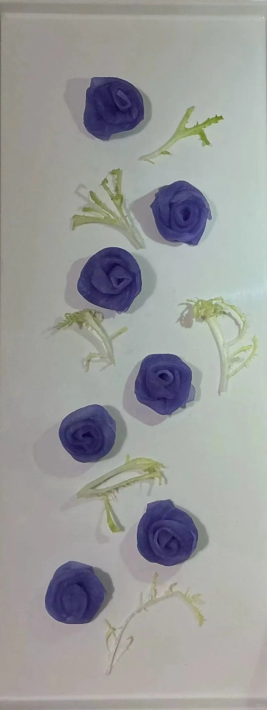这是什么花花！紫色玫瑰花！