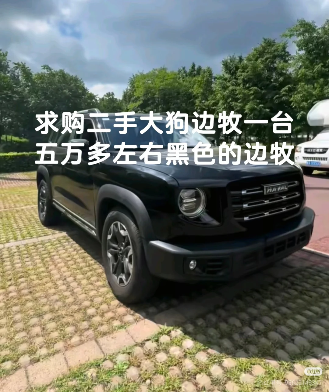 求购二手大狗边牧一台，不要泡水，大事故车