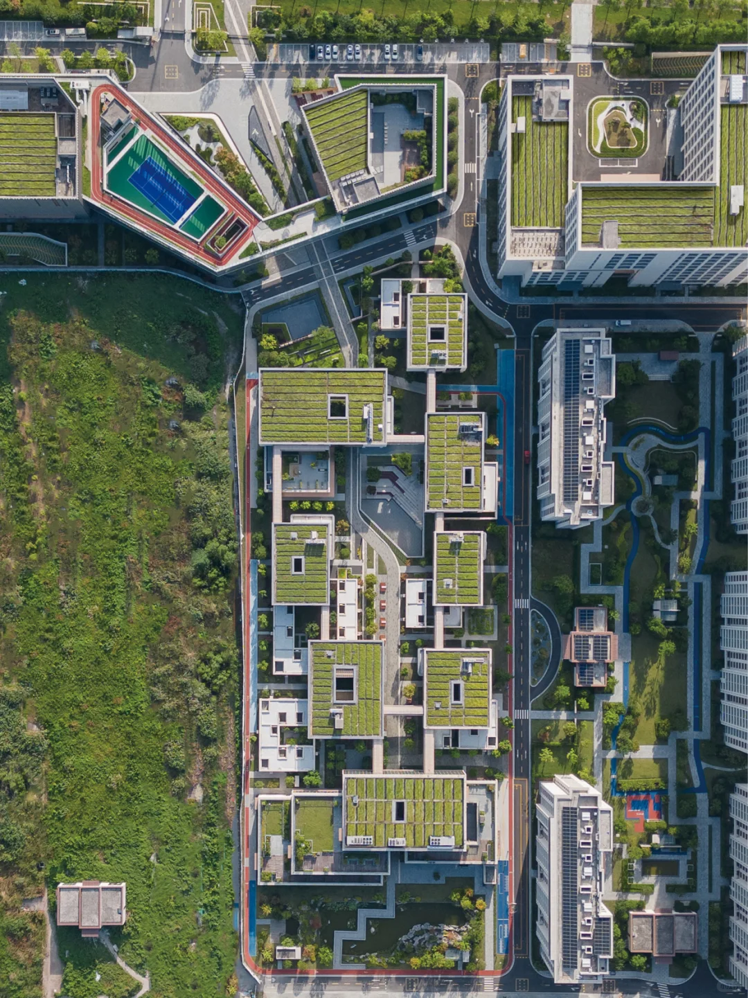 养老建筑新模式🧓🏻积聚活力的全龄社区