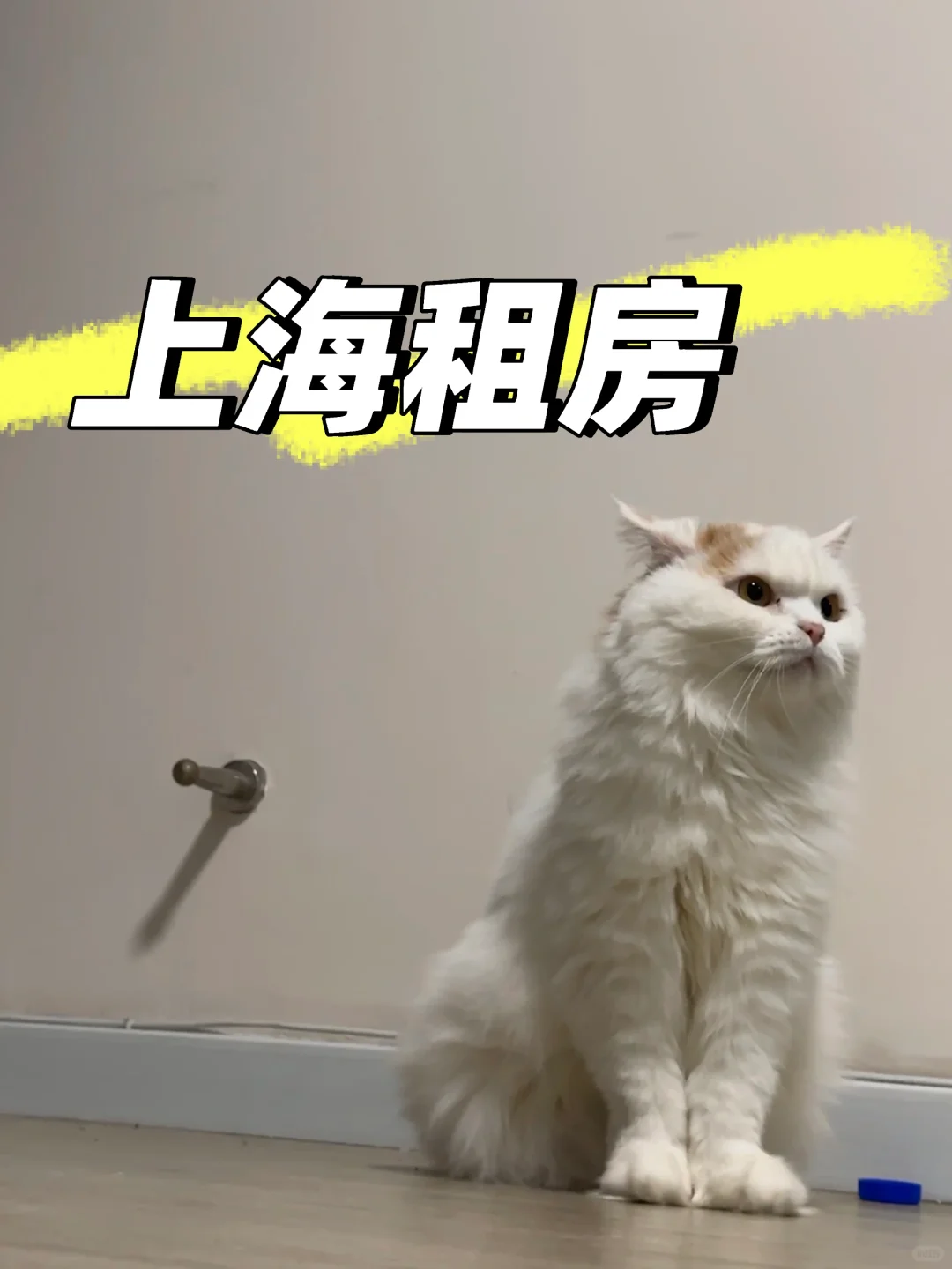 上海租房求租