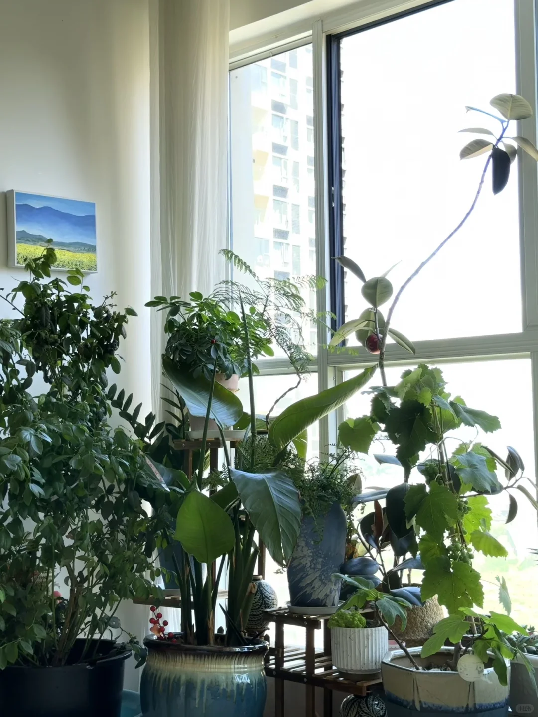 把第一个家卖了，等一个有缘人❤️🩵💚