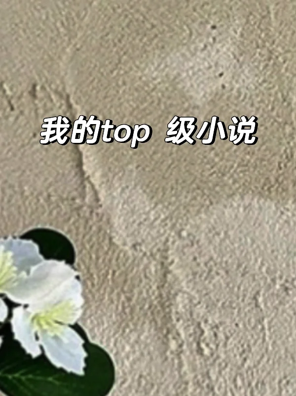 我的top级小说♥️♥️求推荐