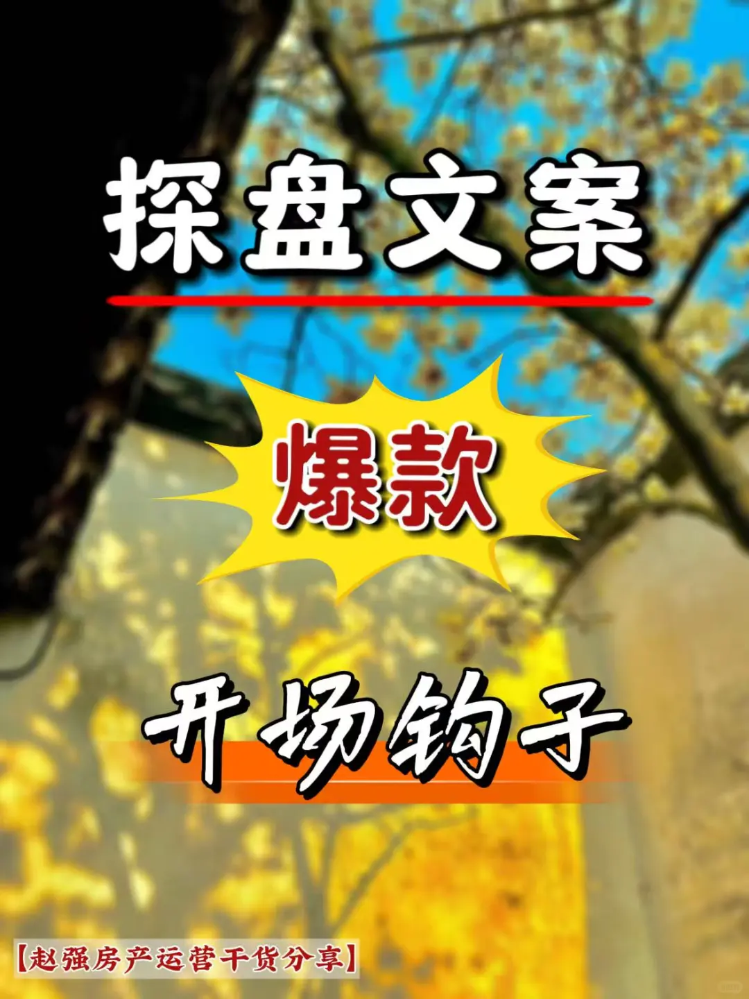 拍了就能火的探盘文案开场钩子房产人收藏