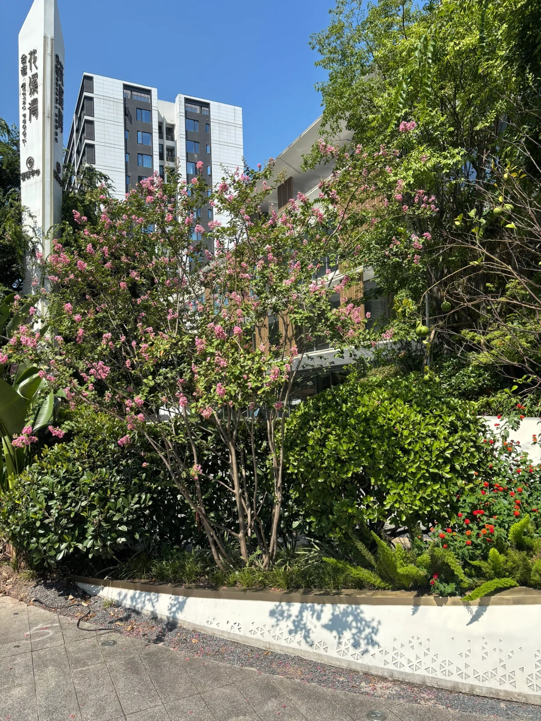 继续奋斗在地产销售一线