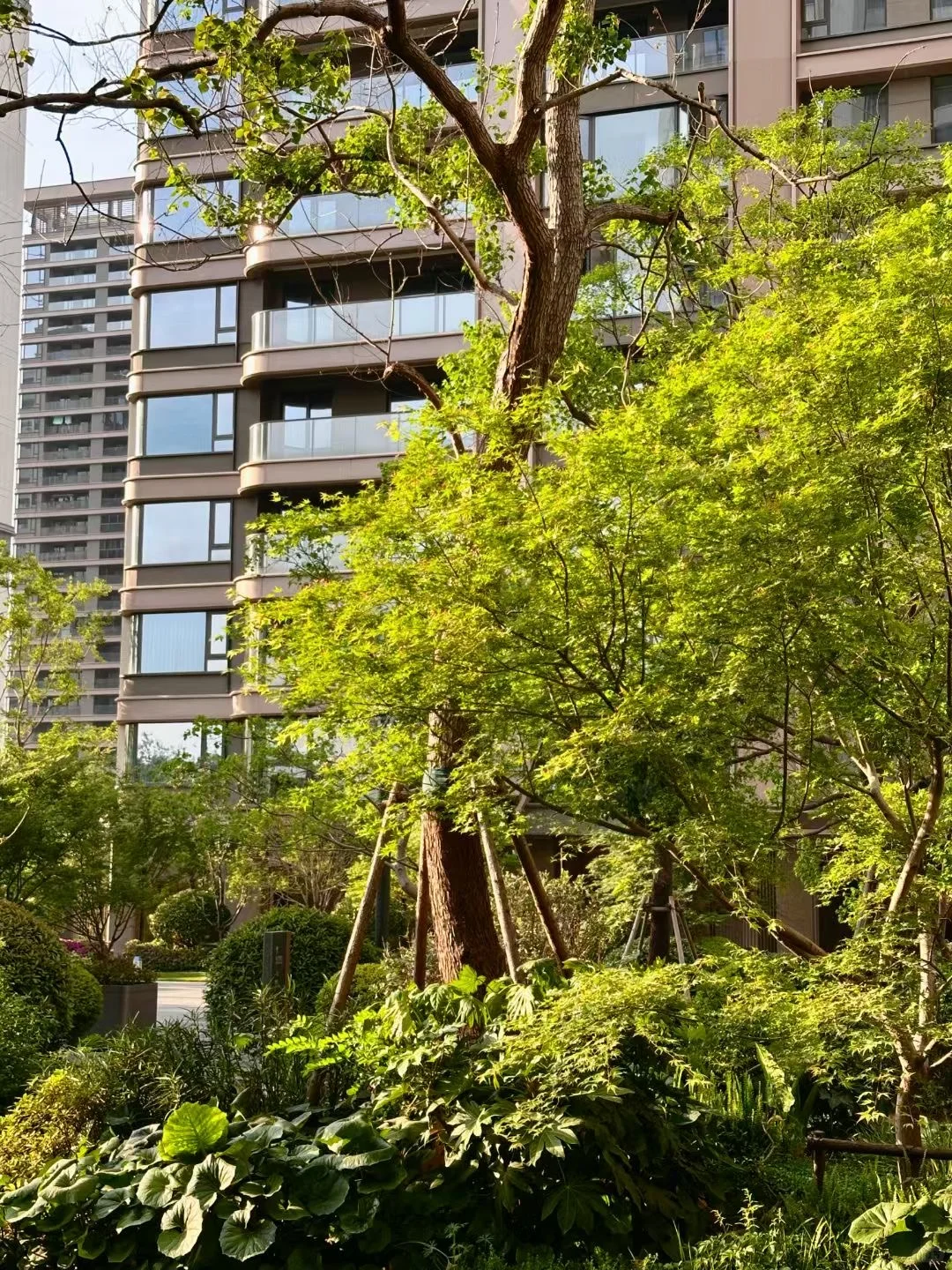 这个小区真的好美啊～～～