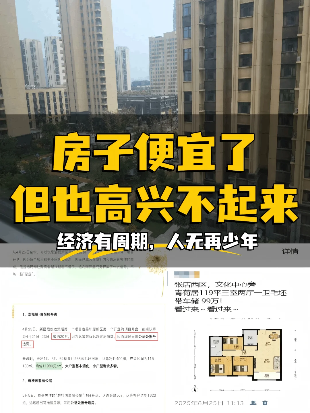 人无再少年 | 房子便宜了，但也高兴不起来