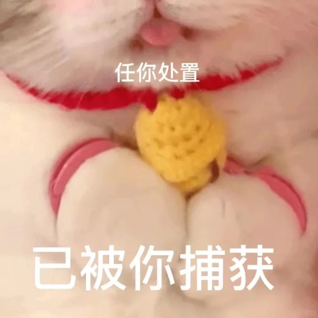 “纯情小直男🆚嘴甜大御姐”一触即发💞