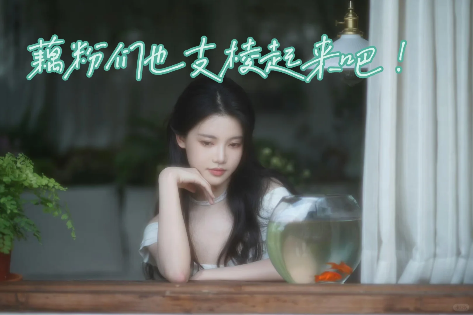 珍妮