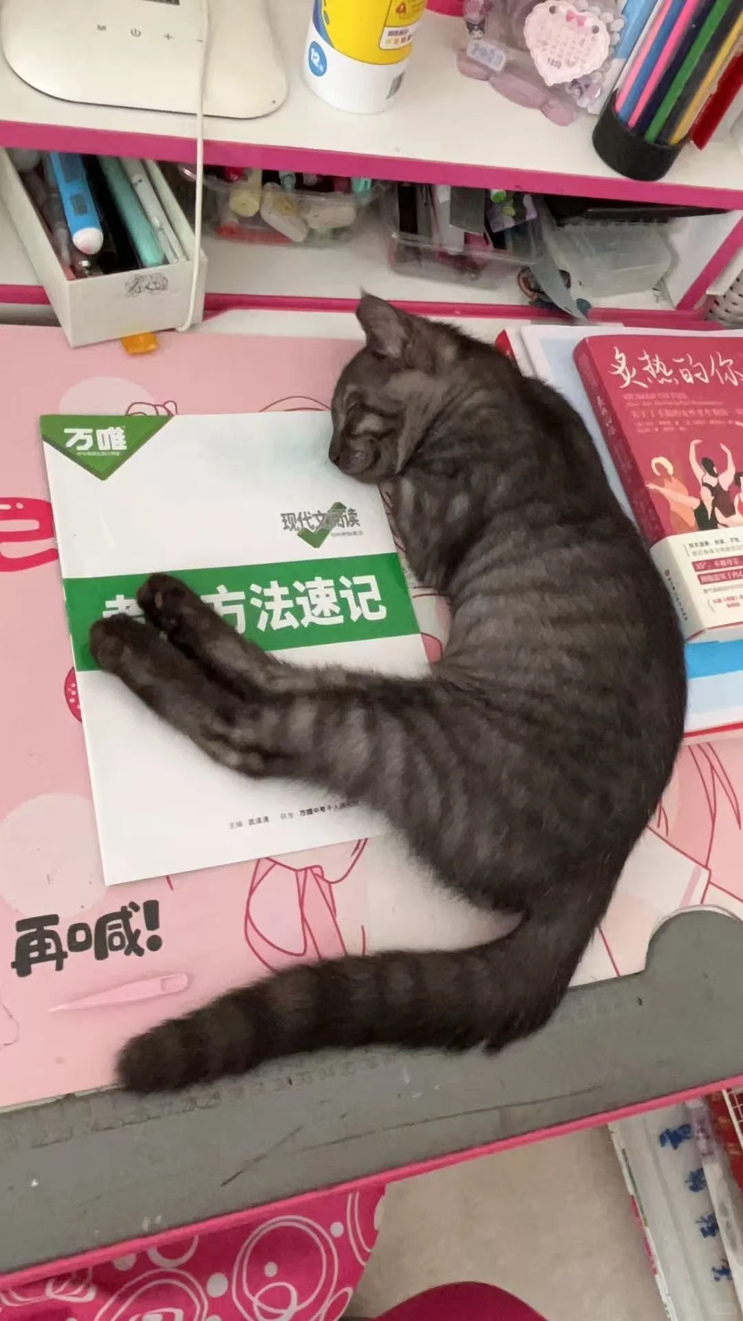 小猫的妖娆睡姿，让我看看你家的