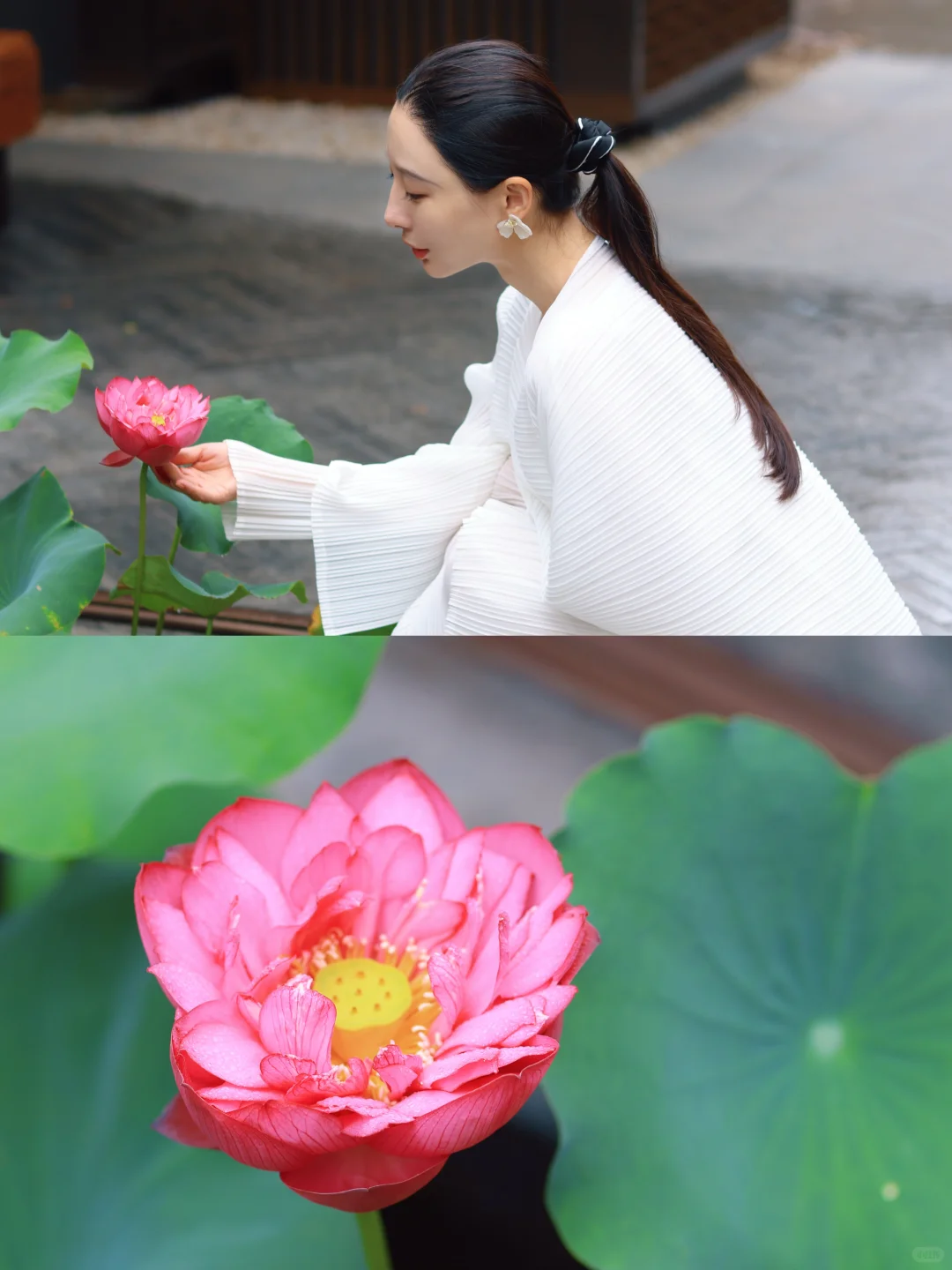 邂逅一场瀑布与百年花树的浪漫