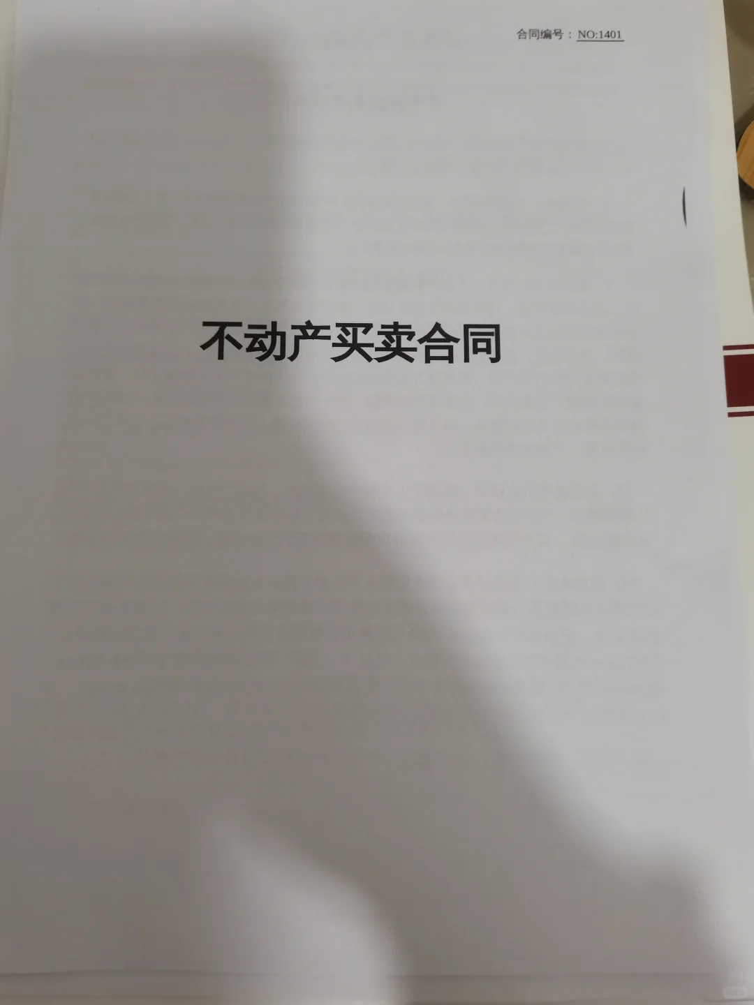 下午去看的房就订了，是不是太快了😂