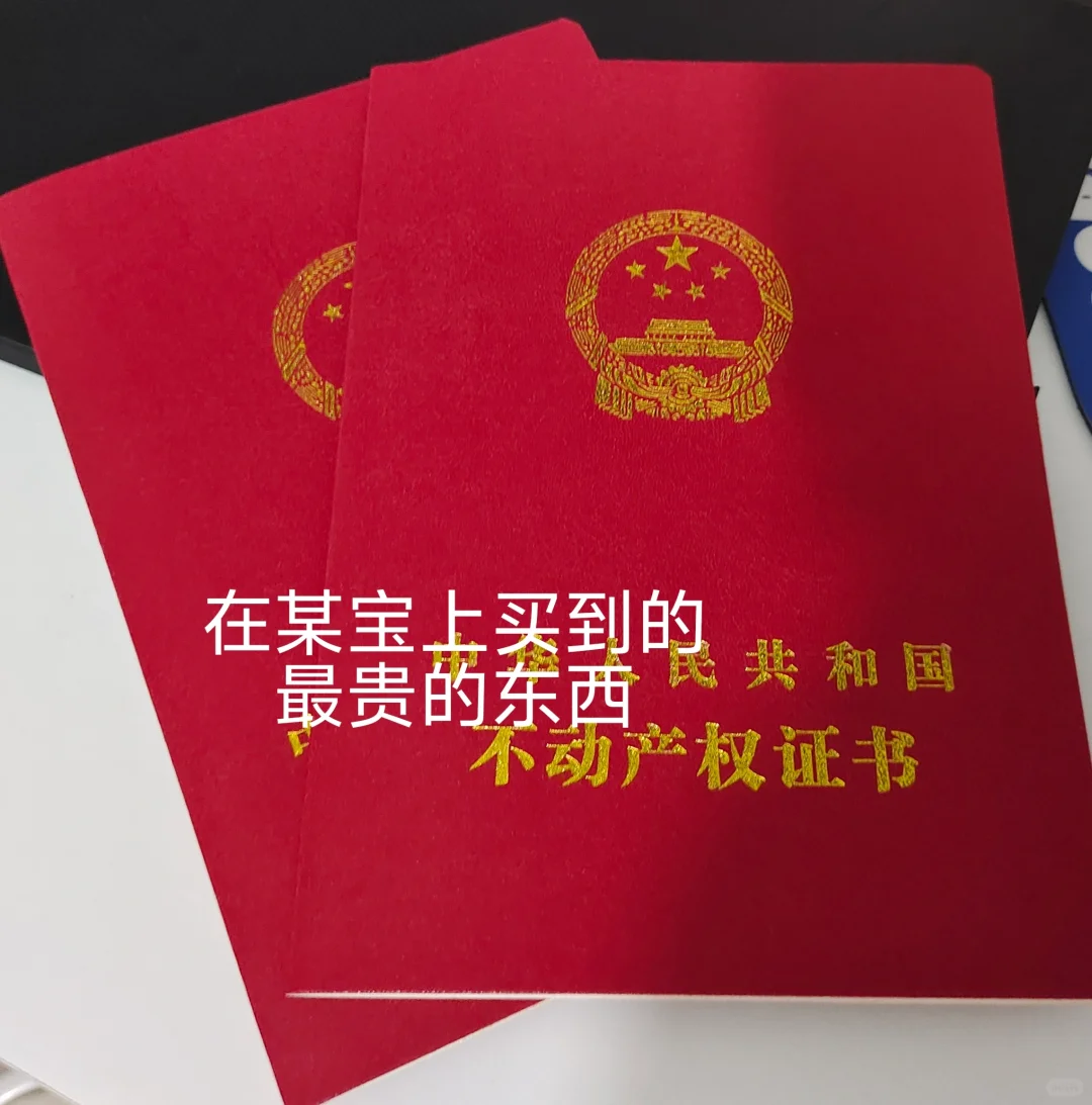 在某宝上买过最贵的东西