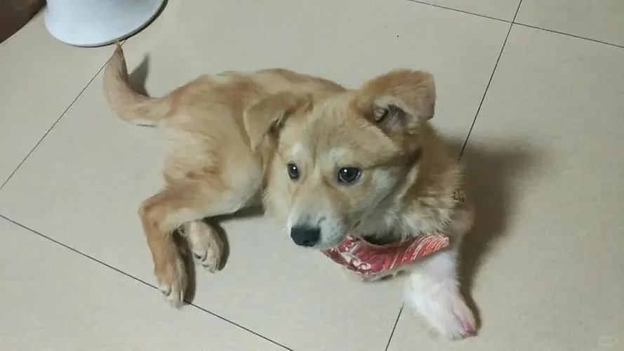 买房了受骗？教你一招保护自己