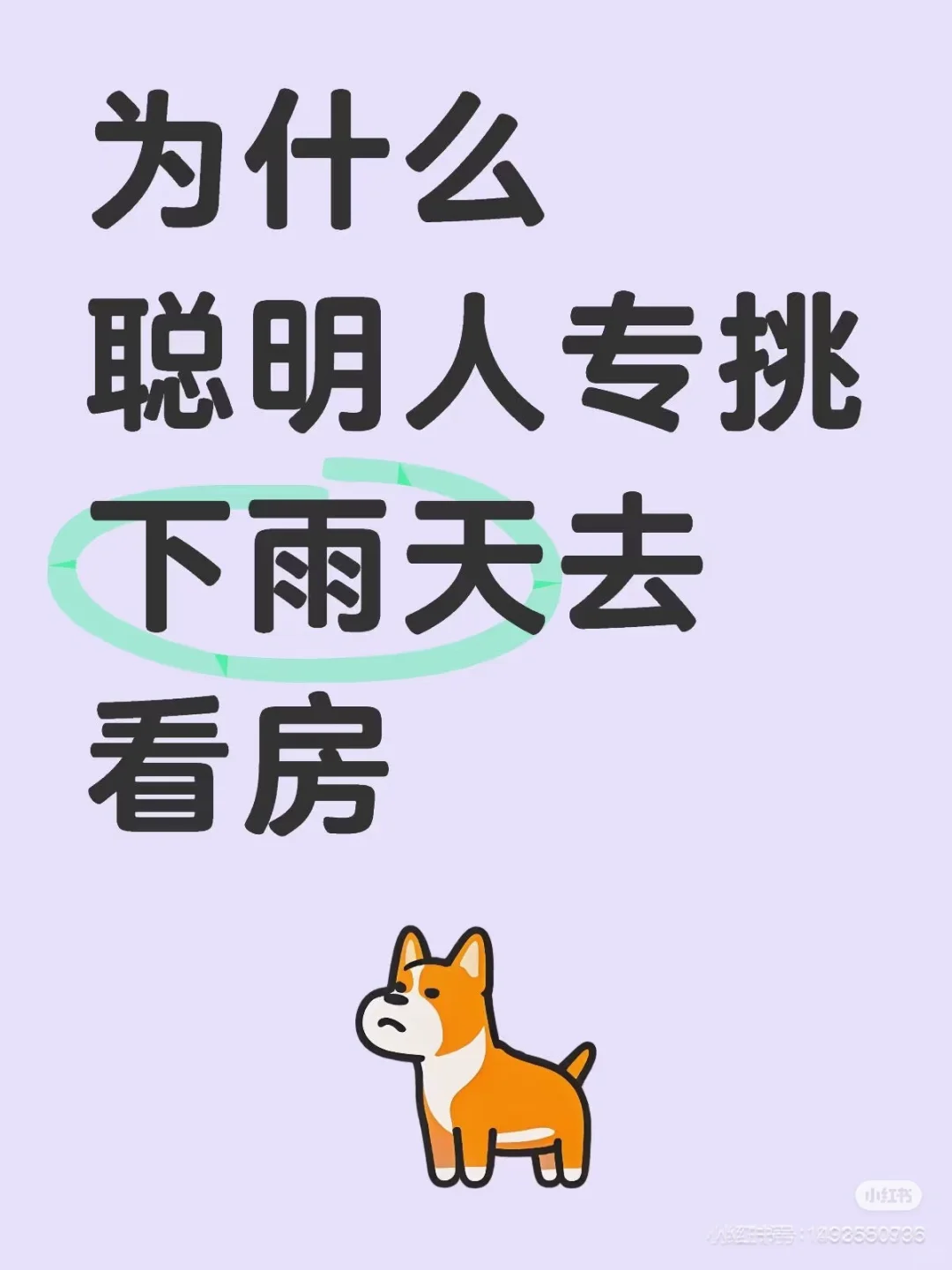 Why聪明人专挑下雨天看房