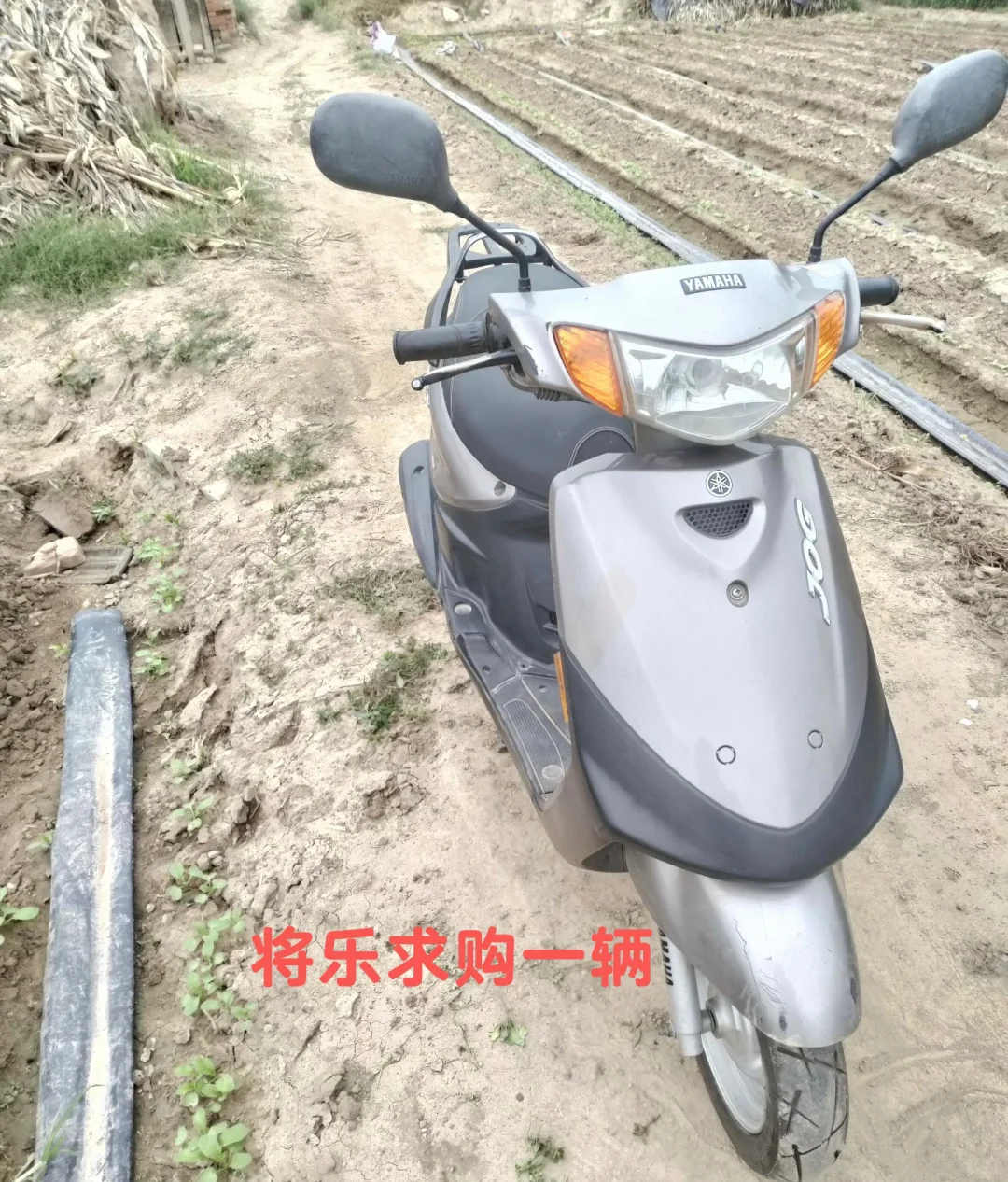 将乐县城或附近求购一辆小踏板！