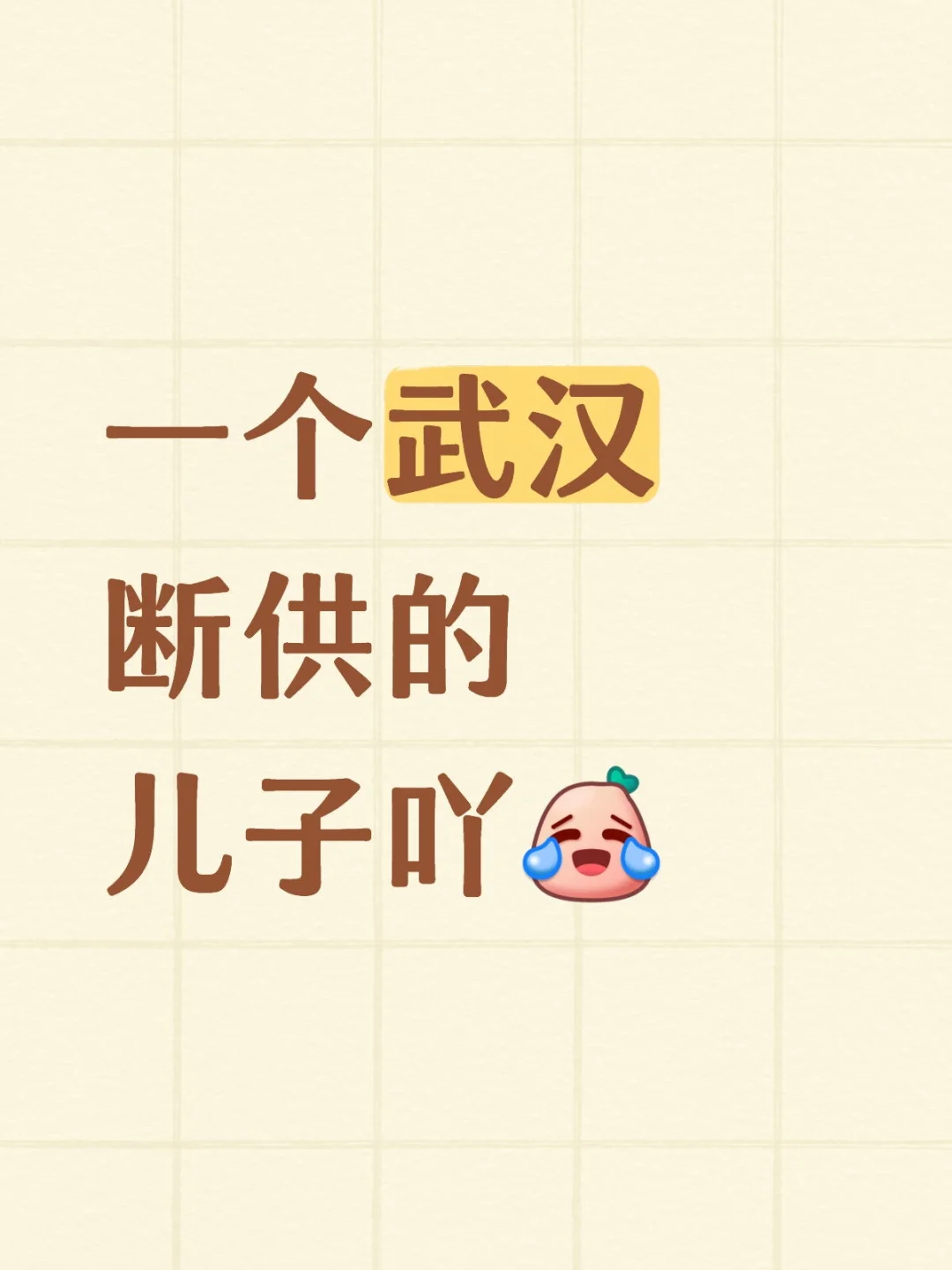🌉「武汉房贷断供第98天，我把家还给了银行