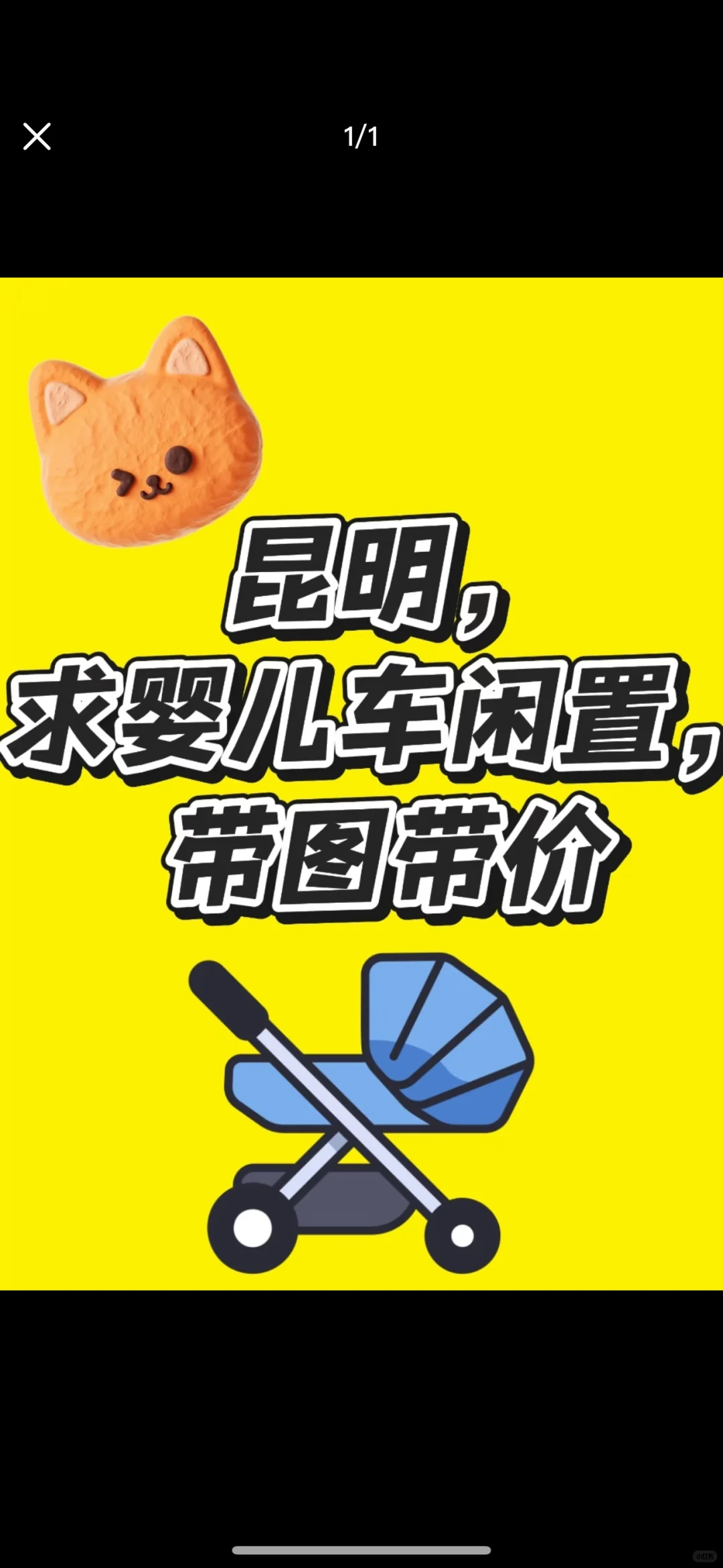求购昆明遛娃车