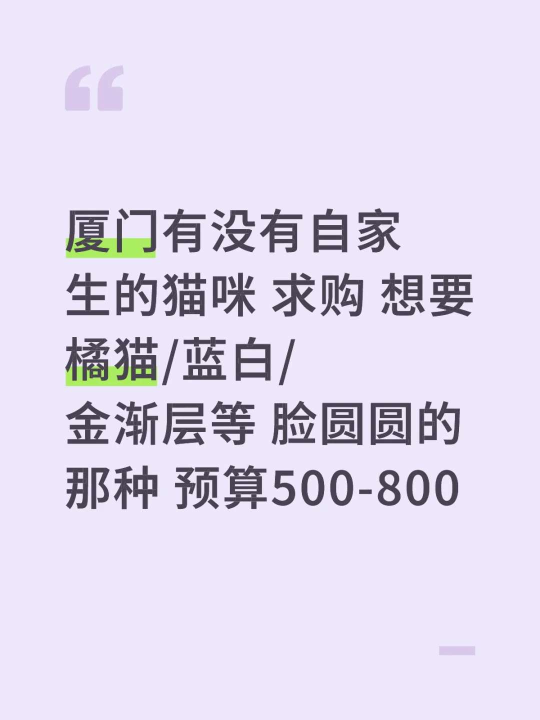 厦门猫咪求购