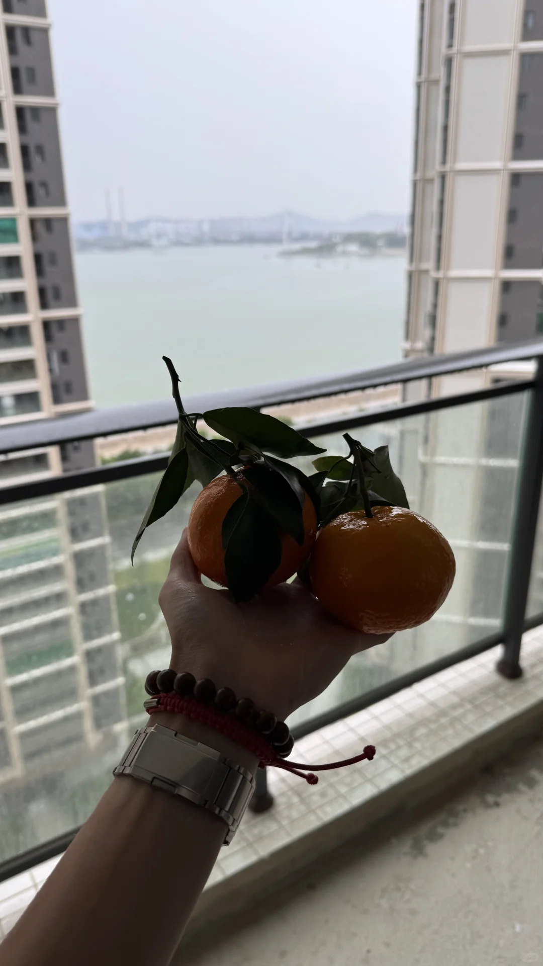「钥匙到手，生活更新」 | 交房大吉🍊