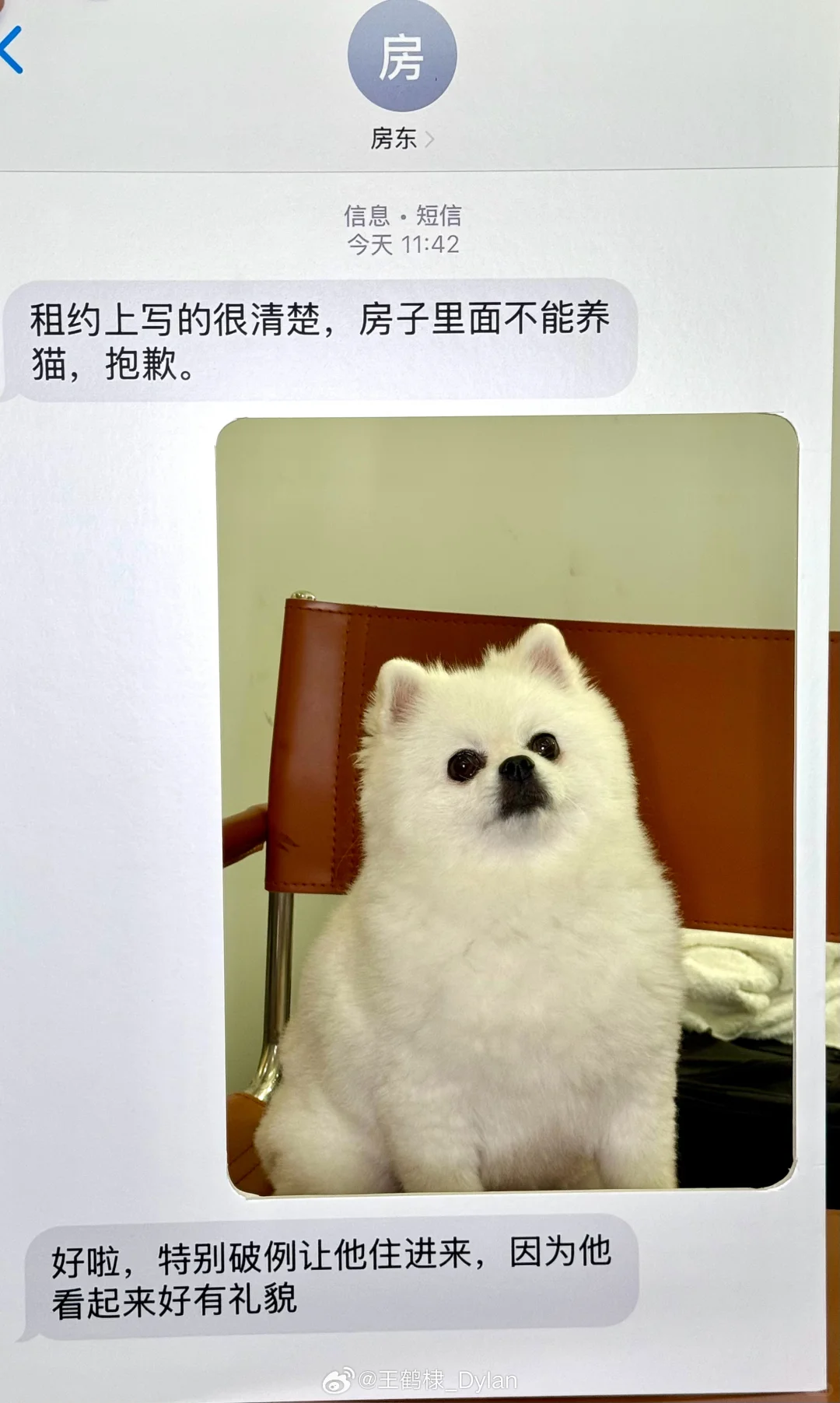 王鹤棣给我们抛媚眼了，DDDD！
