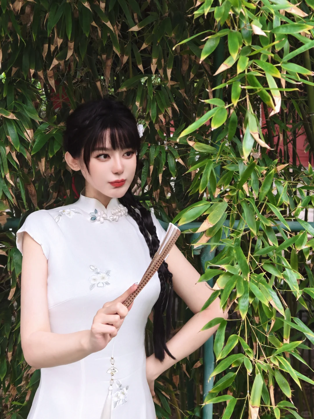一袭白旗袍，廊间扇底皆成诗📜