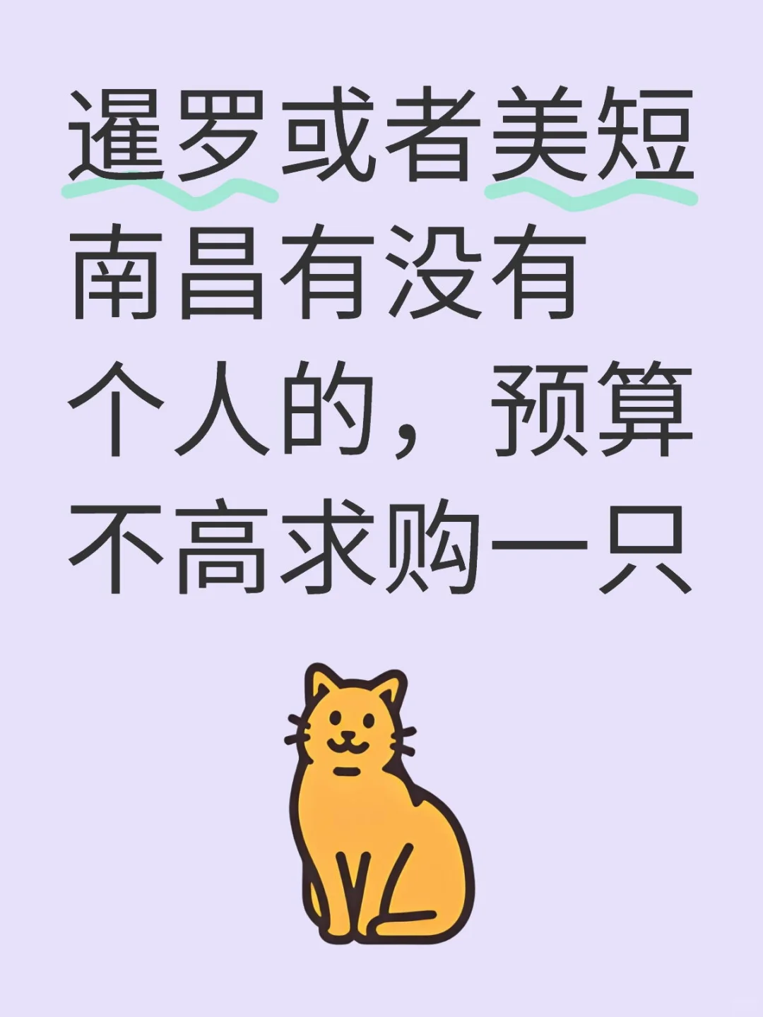 求购美短或者暹罗！