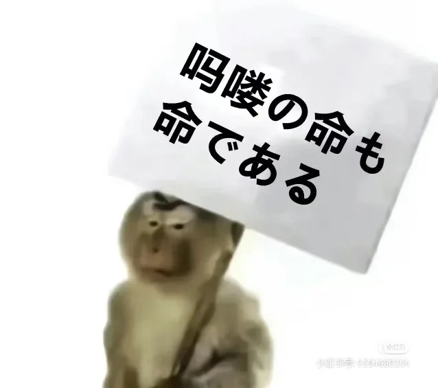 求购大蒜生姜。