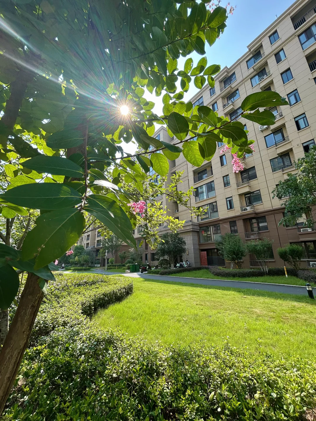 当初劝我别买一楼的人 现在都酸了…