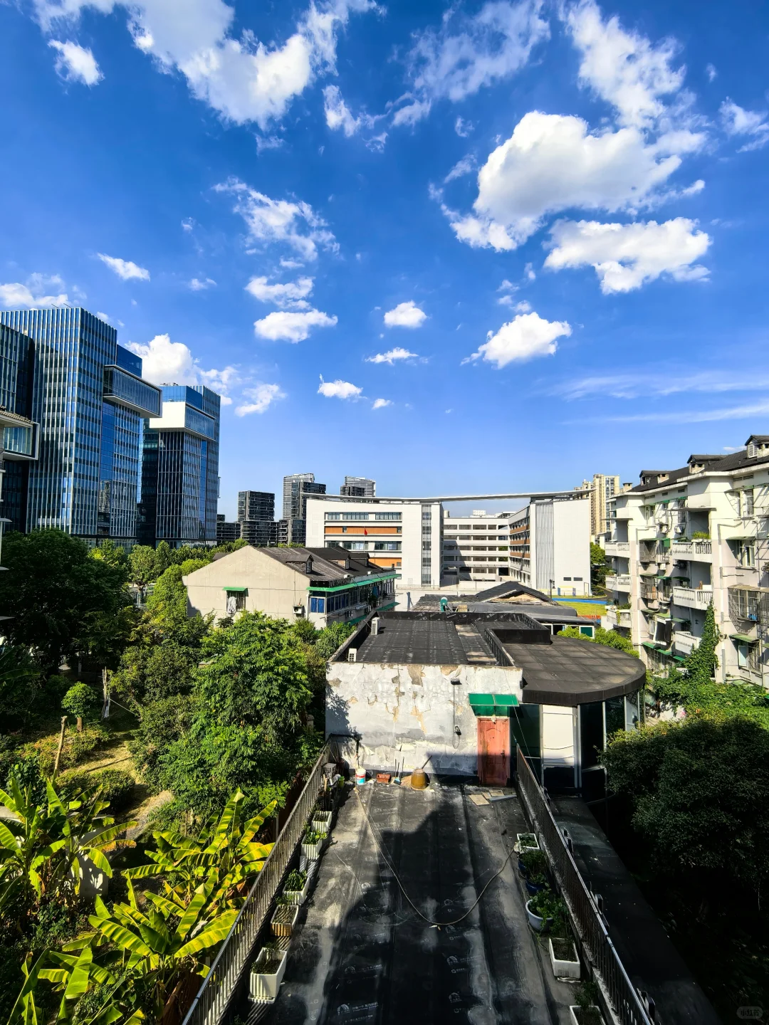 由于个人原因出售杭州住宅，电梯67平2室
