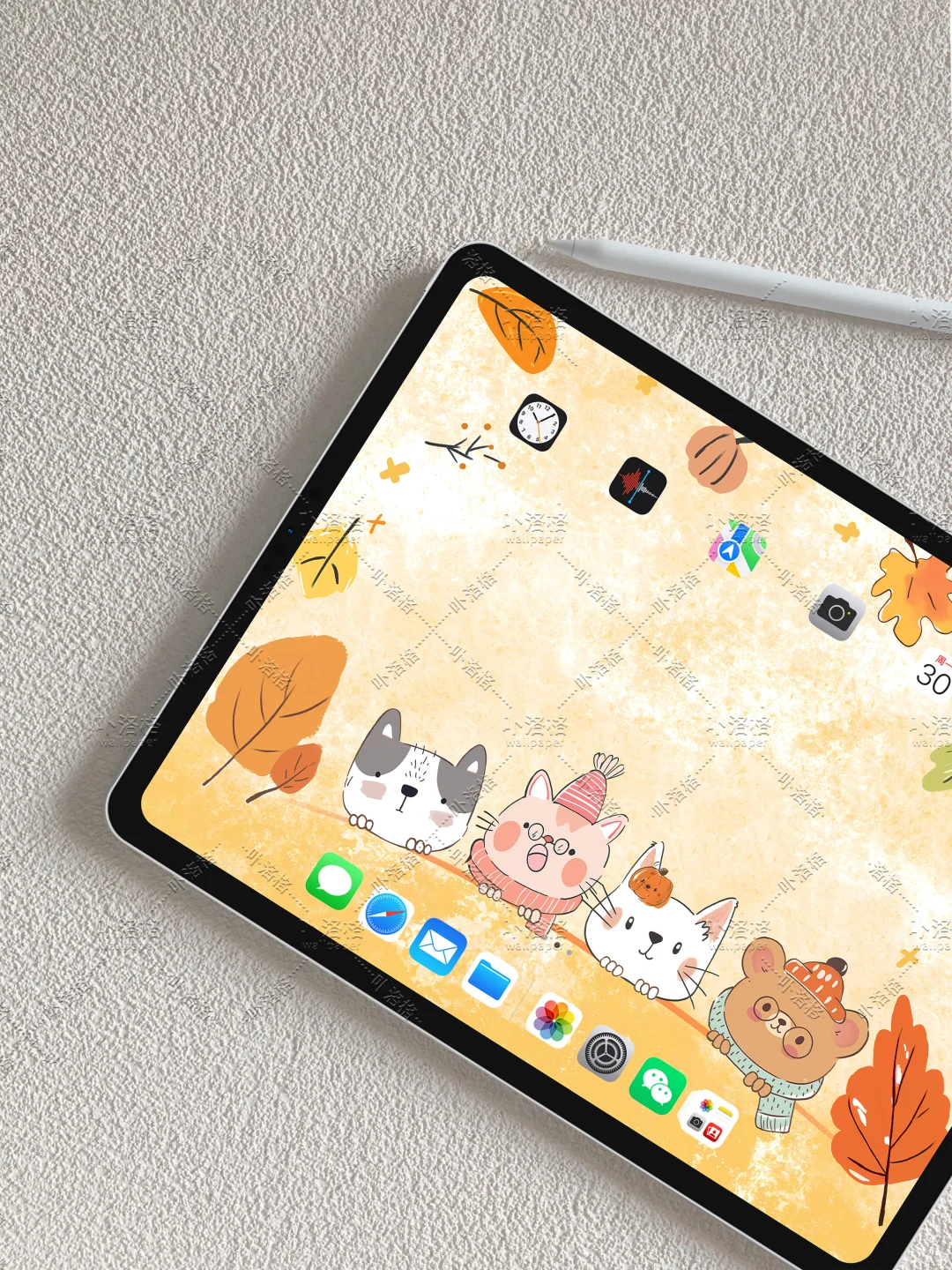 你好秋天｜iPad壁纸✨🍂